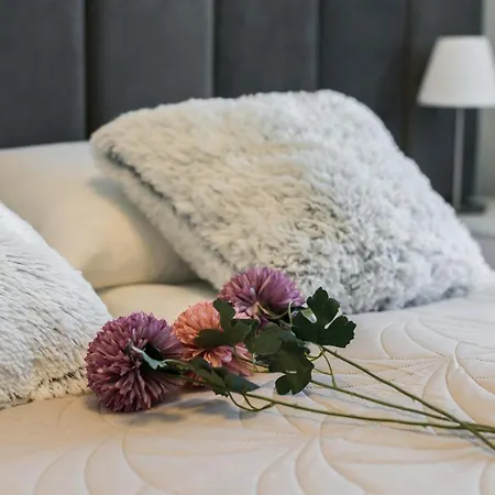 Katowicka By Renters *